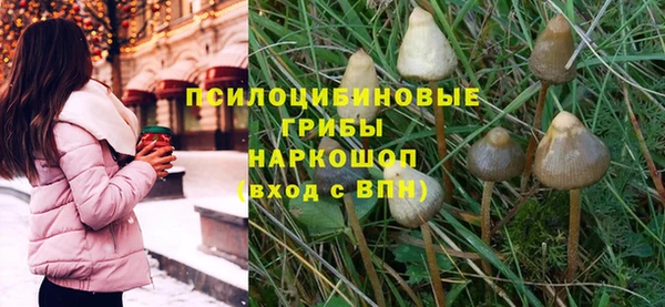 прущий лед Алексеевка