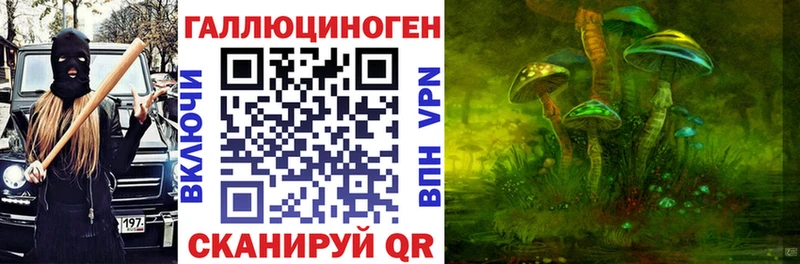 Псилоцибиновые грибы GOLDEN TEACHER  Купить  Шахунья 